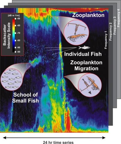 AZFP浮游生物魚(yú)類在線剖面監(jiān)測(cè)系統(tǒng)