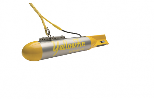 Imagenex 872型YELLOWFIN聲吶生命探測(cè)儀 側(cè)掃聲吶